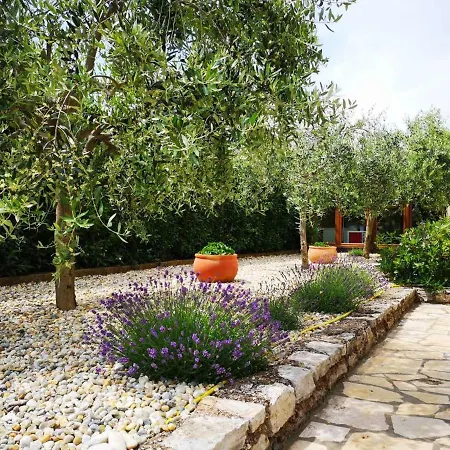 Apartman Ana Novigrad (Istria)